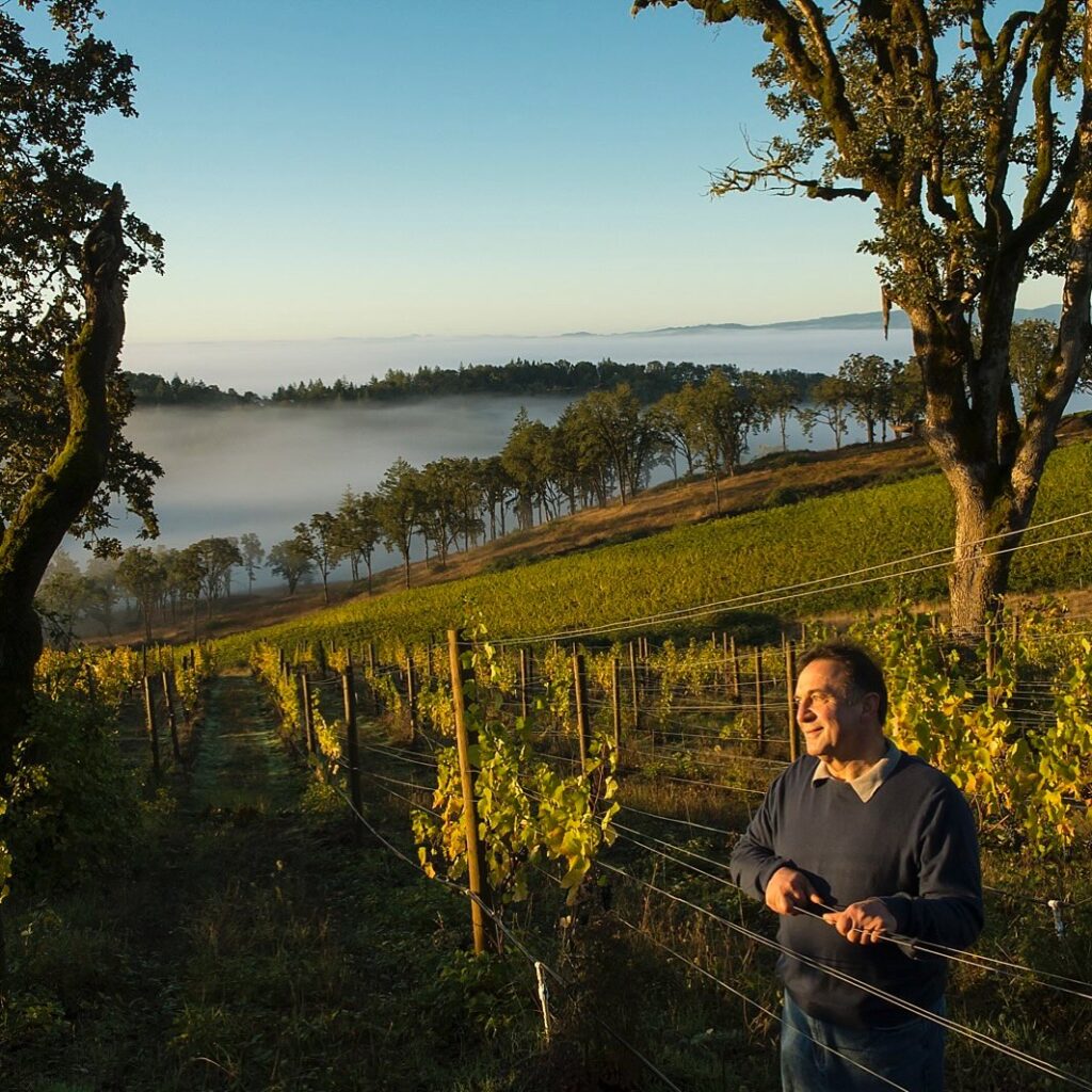 vinos de Oregón y Washington
