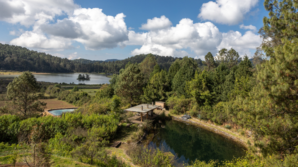 Alma Tierra y Valle Paralelo: regeneración y gastronomía sustentable