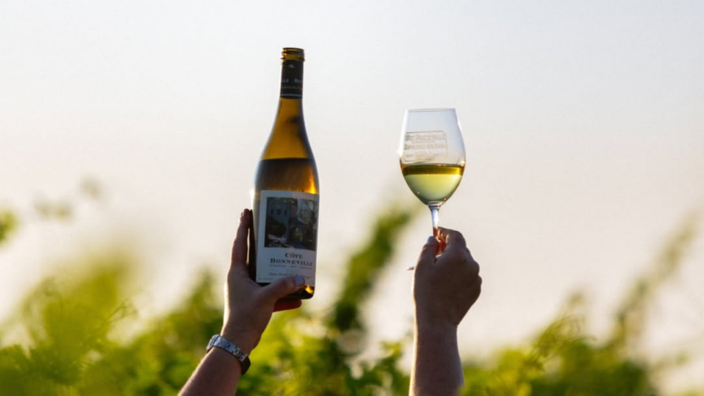 Oregón y Washington: regiones que redefinen el vino estadounidense