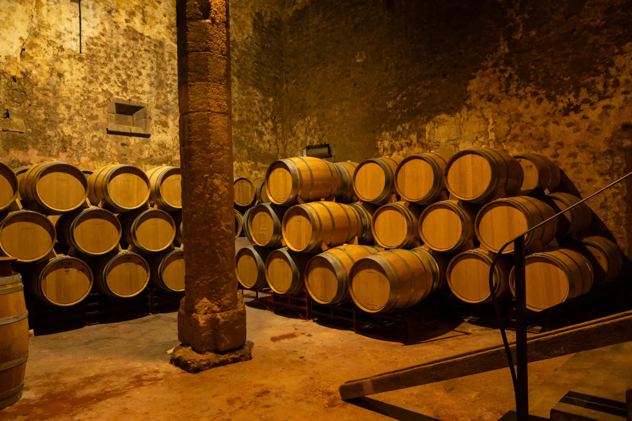 Ànima Negra, la bodega que cambió el destino del vino mallorquín