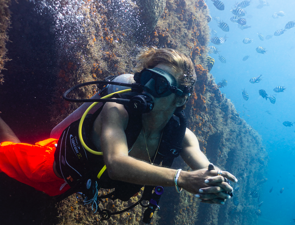 Dive Fest Barbados 2026: un recorrido por y para las maravillas submarinas 