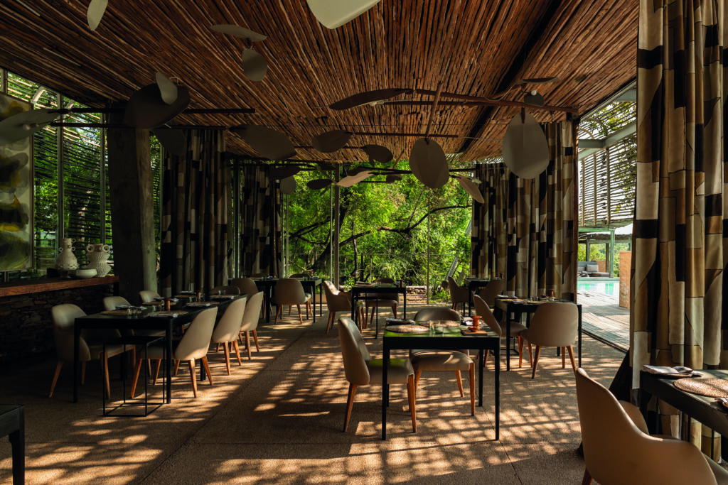 Singita: el modelo que une lujo, gastronomía y naturaleza