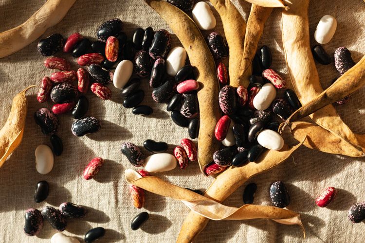Estas son las 8 mejores legumbres para tu salud, según nutriólogos 