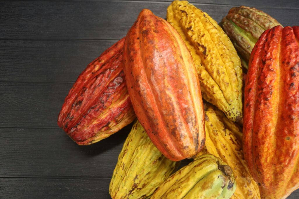 El futuro del chocolate depende del clima (y ya estamos viendo sus efectos)