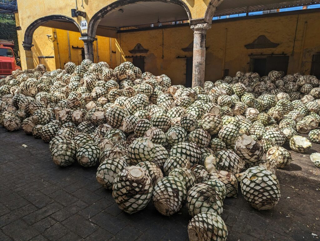 Del paisaje agavero a la barra: dónde celebrar el Día Internacional del Tequila