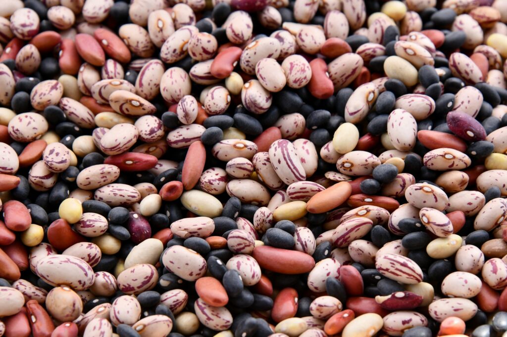 Estas son las 8 mejores legumbres para tu salud, según nutriólogos 