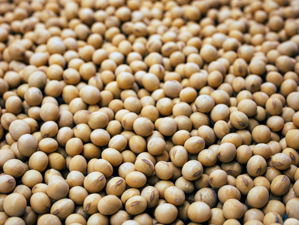 Soya, avena, almendra y más: el universo de las bebidas vegetales