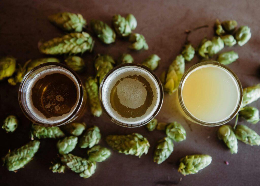 Cerveza: historia, fermentación y cultura detrás de cada vaso