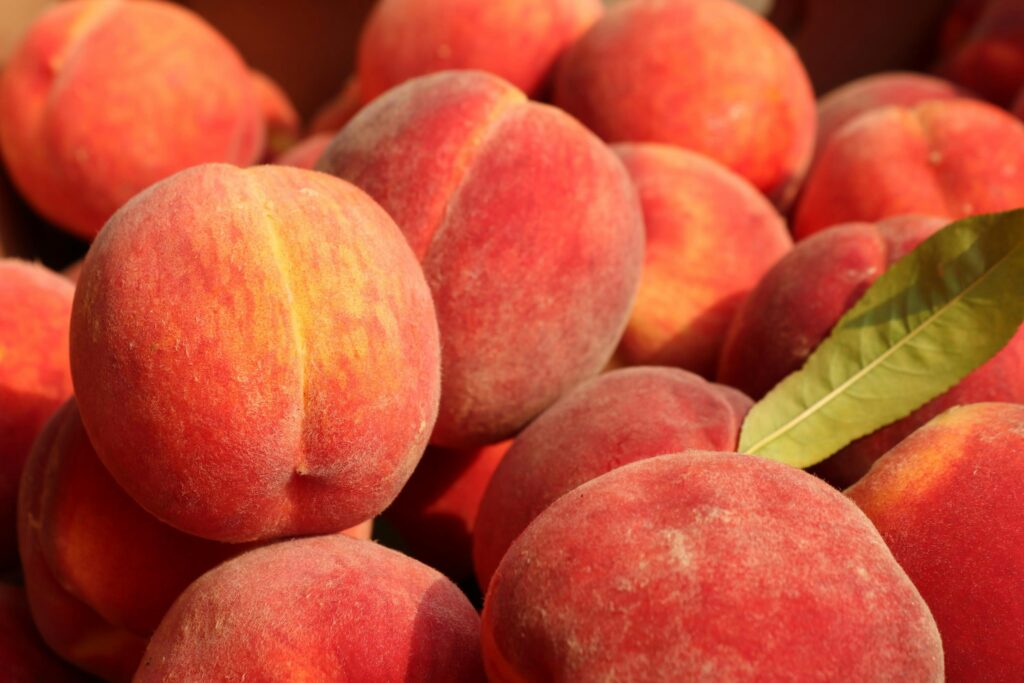 Sabores de temporada: qué comer en agosto y septiembre