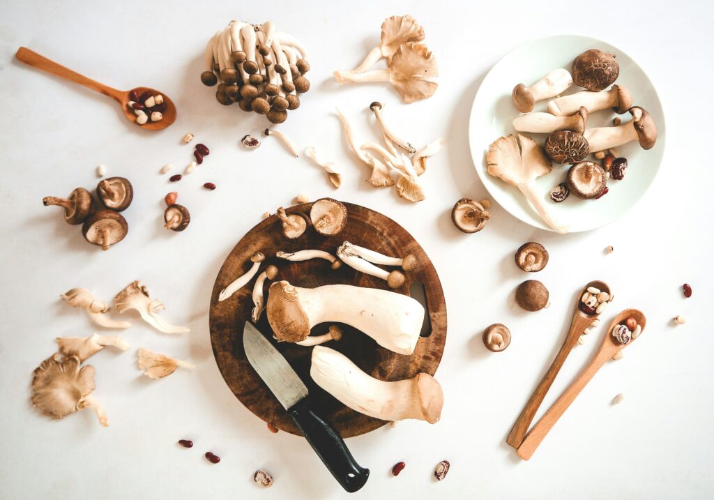 La cocina de lluvias: cuando el bosque llega a la mesa