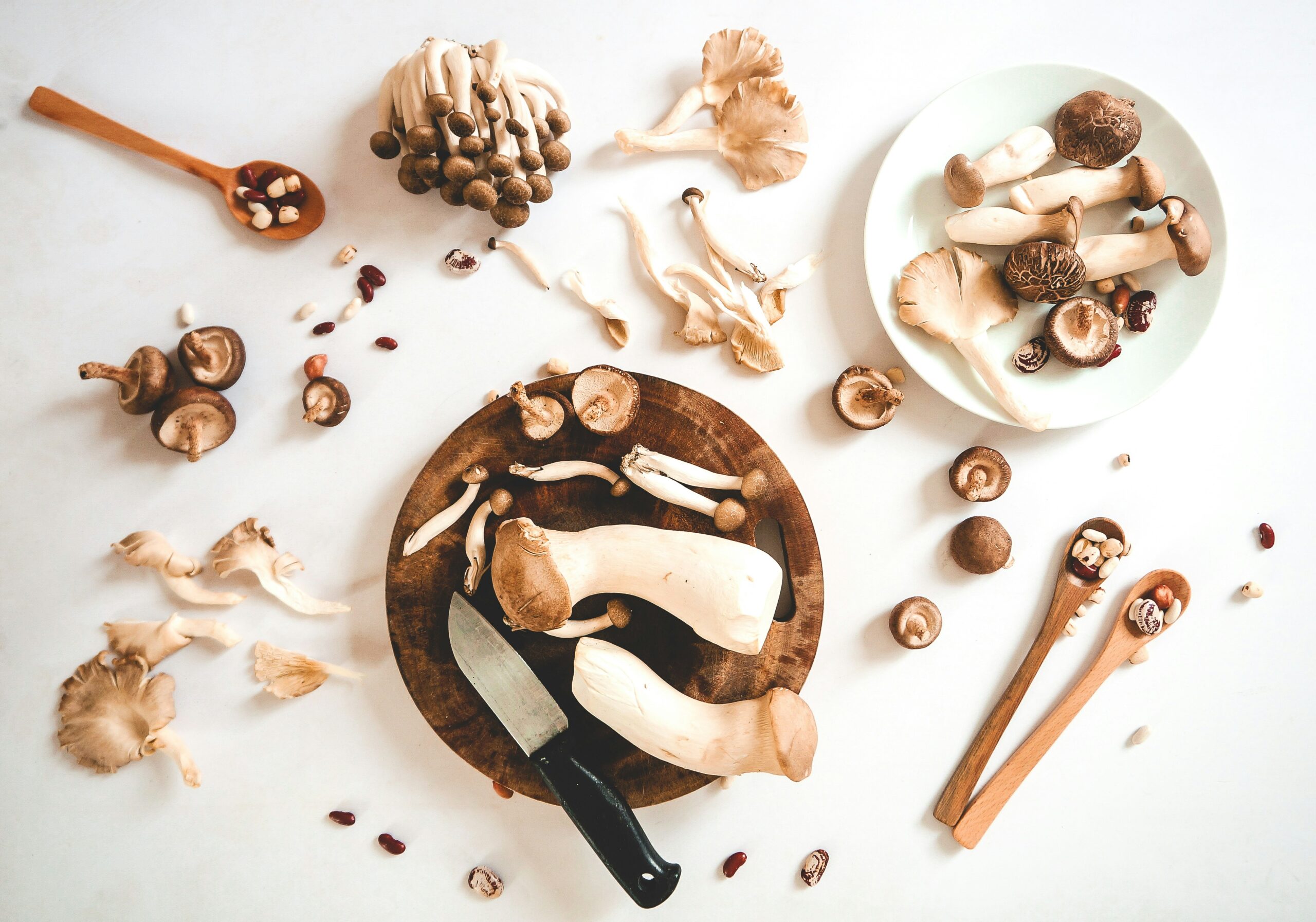 La cocina de lluvias: cuando el bosque llega a la mesa