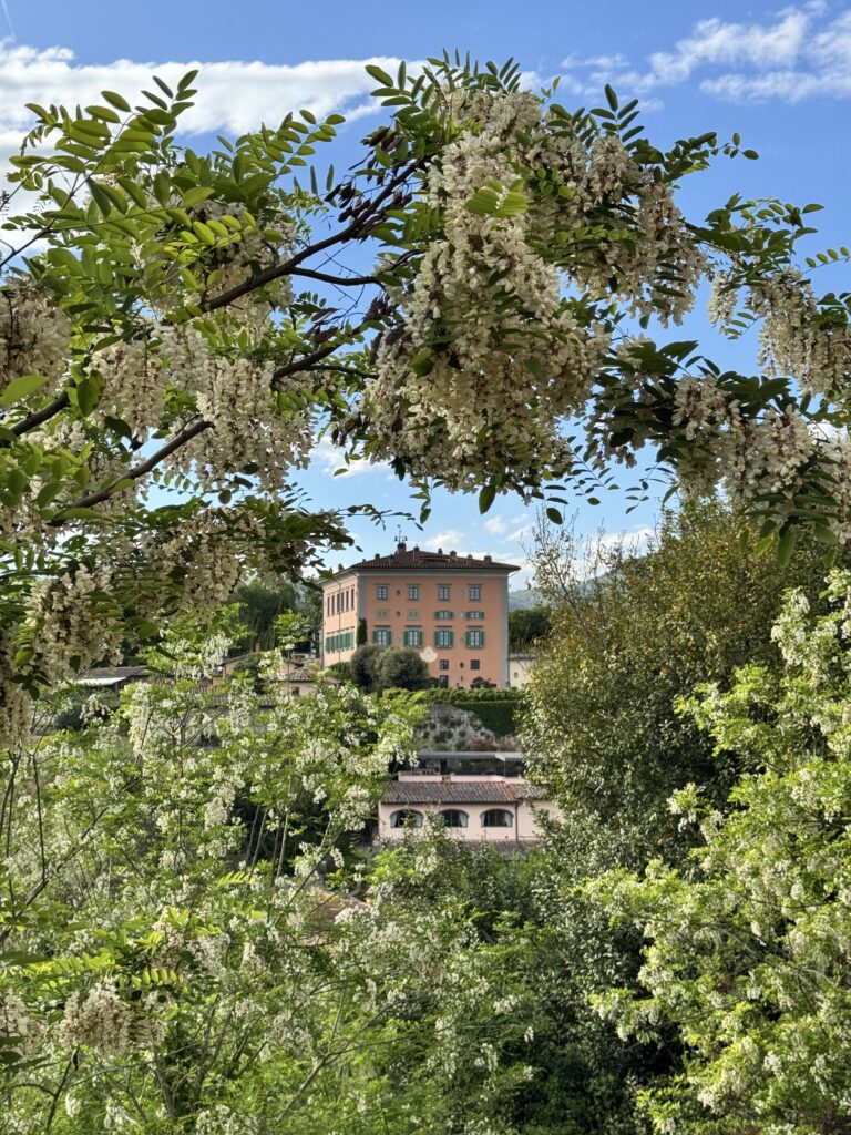 Il Borro: el arte de vivir en el corazón de la Toscana