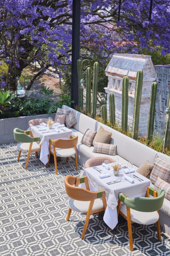 Zagala: una nueva cocina española en CDMX