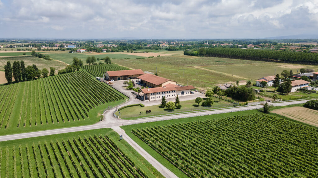 Valpanera y la nueva generación del vino de Friuli