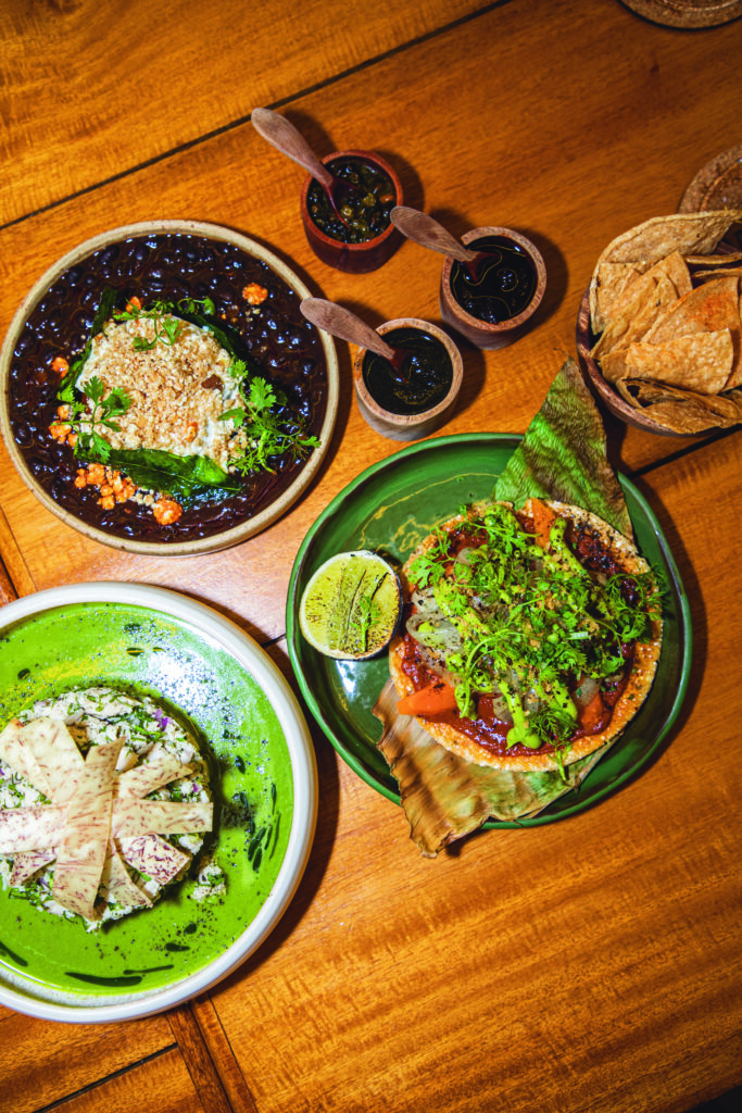Lupita Vidal: la voz del trópico que redefinió la cocina tabasqueña