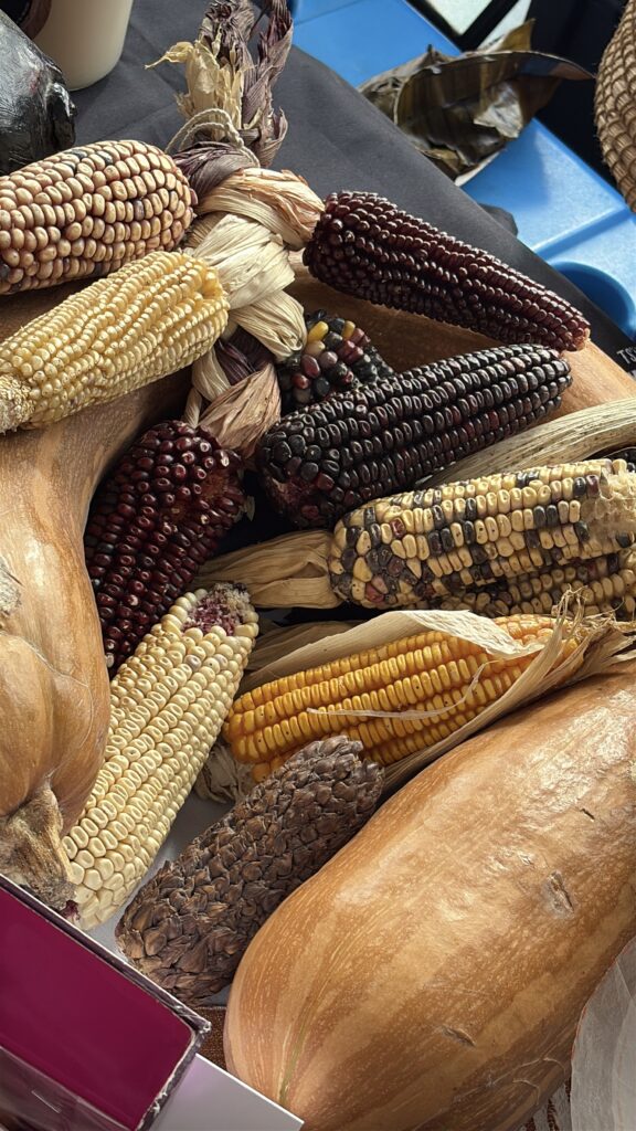 Sotero sostenible 2026: gastronomía, territorio y futuro