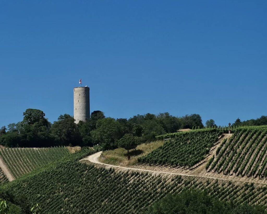 Robert Weil: el riesling alemán llega a México