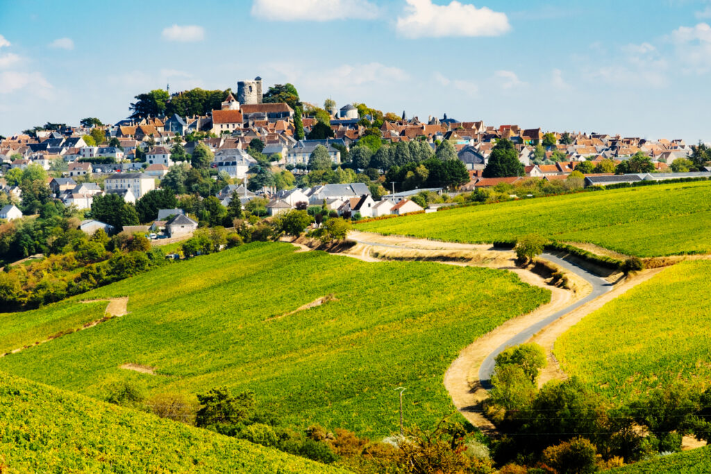 Why Americans Love Sancerre