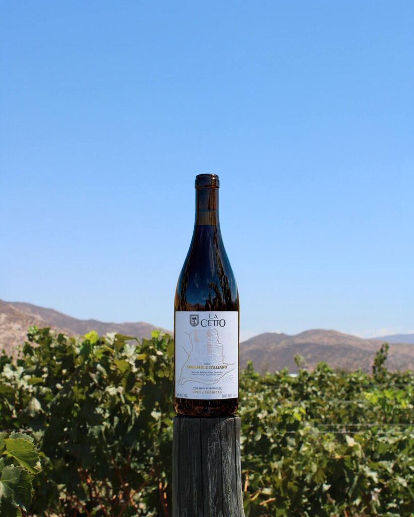 4 vinos de uvas orgánicas y el maridaje ideal para cada uno