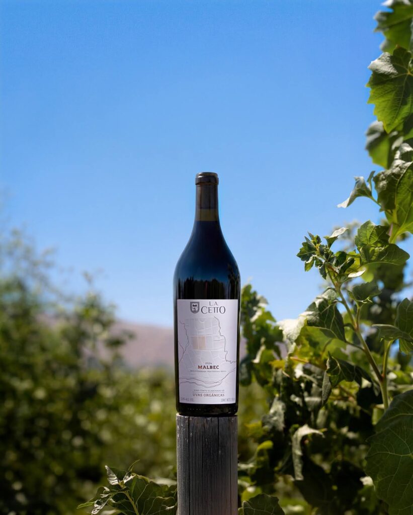 4 vinos de uvas orgánicas y el maridaje ideal para cada uno