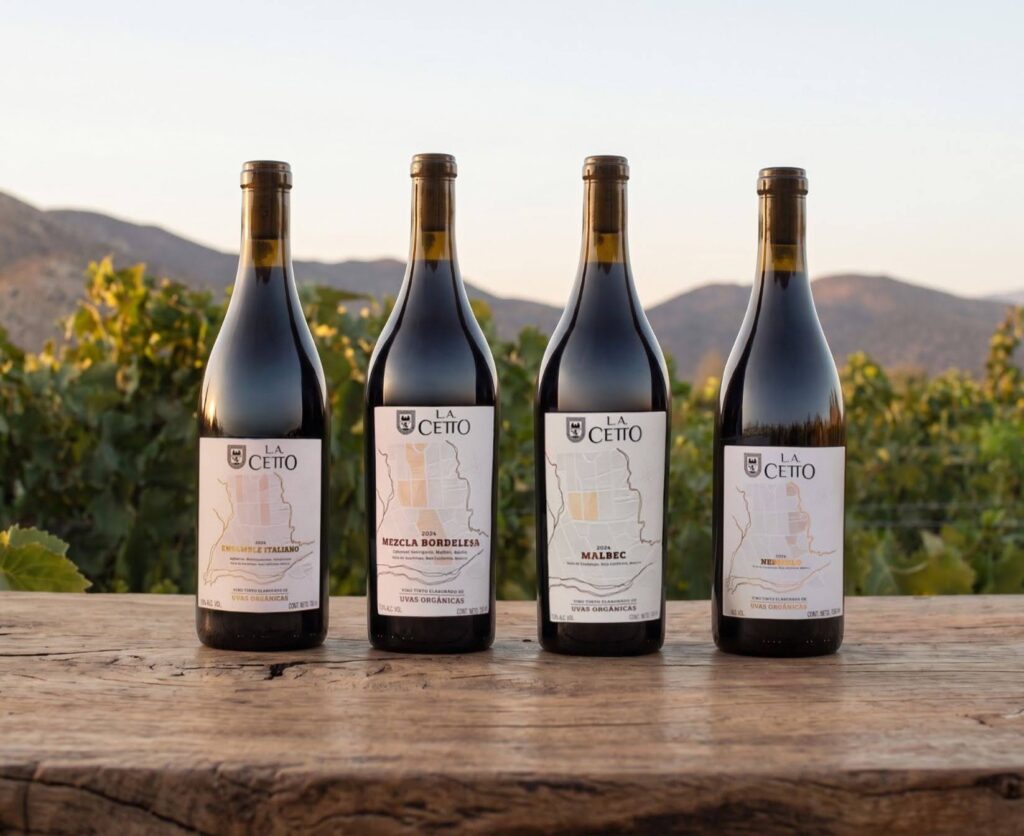 4 vinos de uvas orgánicas y el maridaje ideal para cada uno