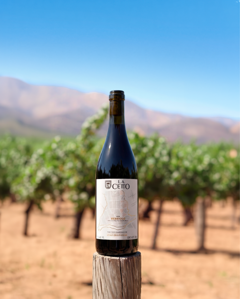 4 vinos de uvas orgánicas y el maridaje ideal para cada uno
