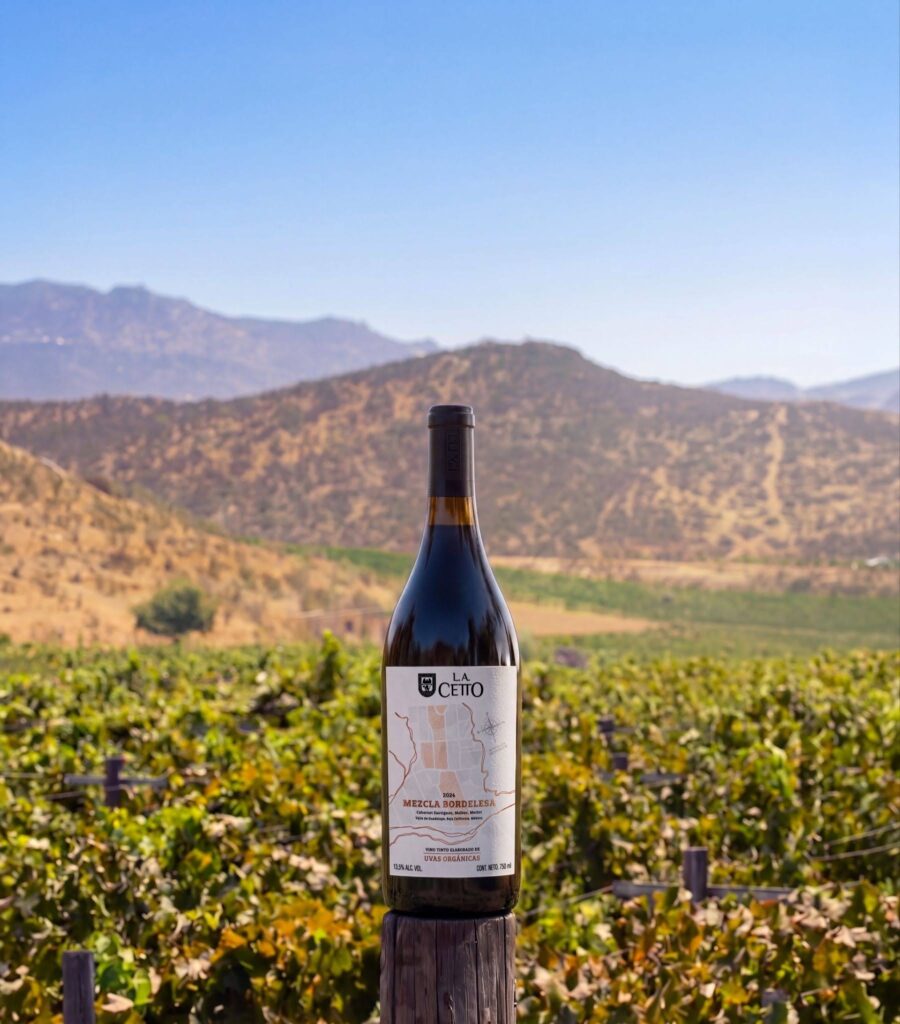 4 vinos de uvas orgánicas y el maridaje ideal para cada uno