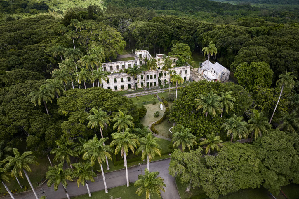 Deporte, bienestar y cultura: así será Run Barbados Marathon and Wellness Weekend 2026 