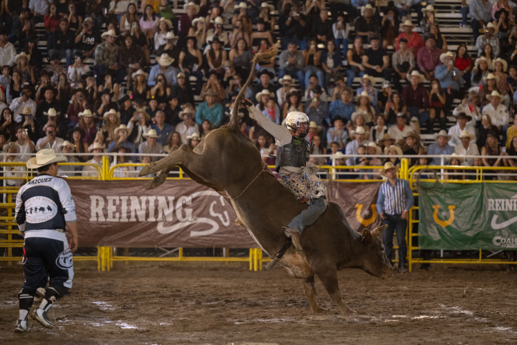 Rodeo de Saltillo 2026, todo lo que tienes que saber de la gran fiesta vaquera de Coahuila 