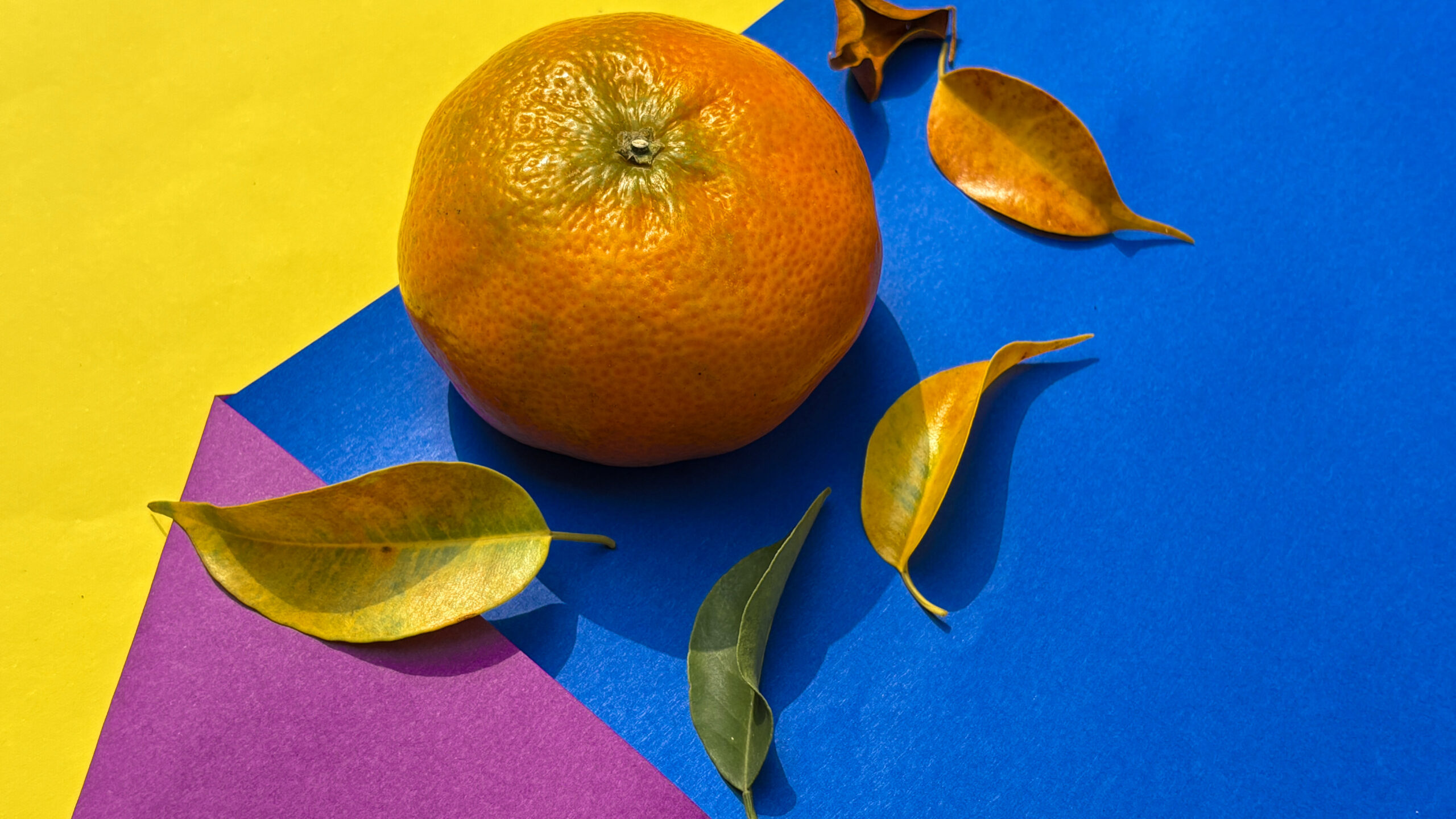 Mandarina: cuándo es temporada y cuáles son sus propiedades