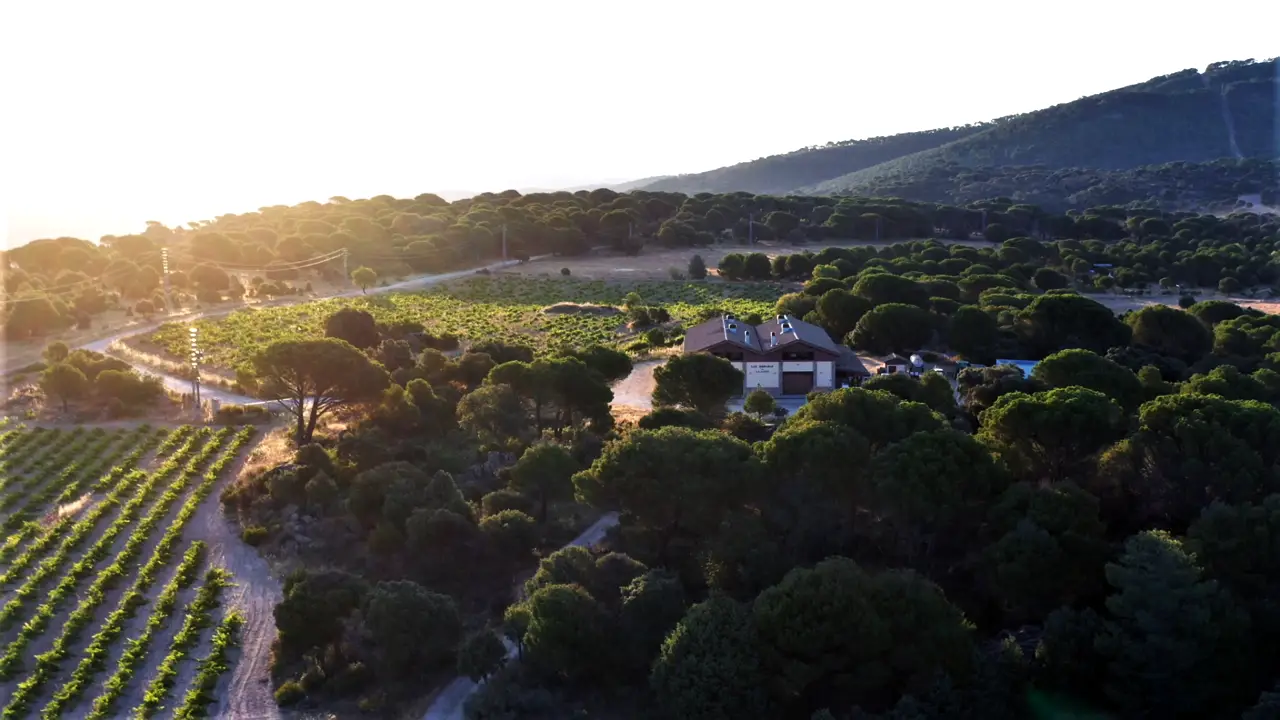 Las Moradas de San Martín afina la Garnacha y realza el Albillo Real Las Moradas de San Martín afina la Garnacha y realza el Albillo Real